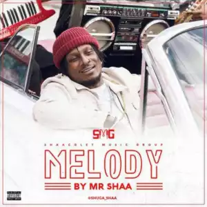 Mr. Shaa - Melody